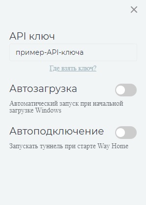 Поле для API ключа